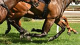 Horse Racing