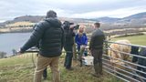 Crofting