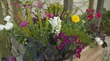 Mark’s spring containers