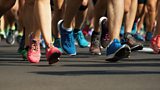 No Newry Buses for Belfast Marathon