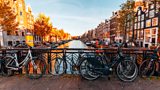 AMSTERDAM CONFERENCE