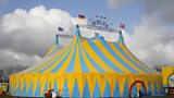 Alliance Cllr hits out at vote backing circus to use council-land as he objects on animal rights basis