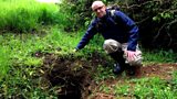 Northern Ireland Badger Group