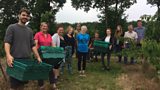 Gleaning