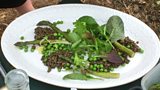 Flora's lentil and asparagus salad