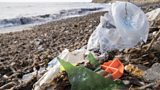 LITTER
