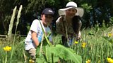 National Plant Monitoring Scheme: Bonny & Adam
