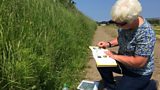 National Plant Monitoring Scheme: Barbara Irvine