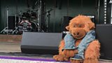 3 - 5 August: The Drunken Monkey Rock Festival nr Upton