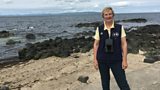 Dot's Coastal Birds