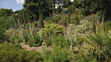 Creating a Mediterranean garden