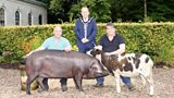 Rare Breed Show