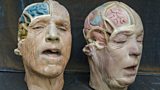 Surreal Science