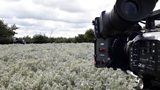 Super Food Farming