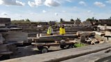 Tropical Timber