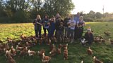 Chicken Run 2
