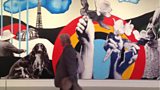 Fernand Léger: New Times, New Pleasures