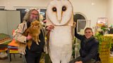 Wildlife Hospital