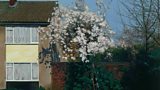 George Shaw: A Corner Of A Foreign Field
