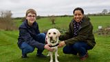 Hearing Dogs