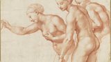 The Renaissance Nude