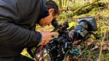Saving Lichen