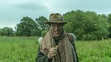 Birdsong in the charts
