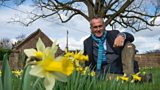 British Daffodils