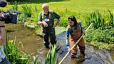Chalk Streams