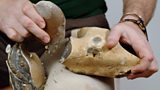 Yorkshire Sculpture International Sean Lynch The Rise and Fall of Flint Jack 2019