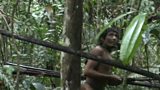 The Kawahiva