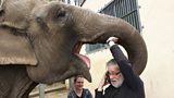 Peter Adamson and Elephant Kirsty