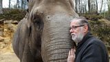 Peter Adamson and Elephant Kirsty