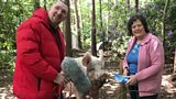 Phil, Pippa the Pig and Iona