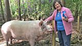 Pippa the Pig and Iona Nicol