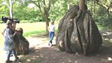 Art Trail