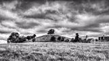 Whittington Tump aka Crookbarrow Hill - photo by David Benton