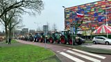 High levels of nitrogen in the Netherlands