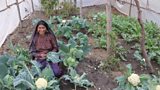 Agriculture