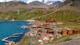 South Georgia art competition