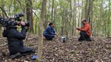 The Science of a Tree