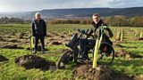What to plant, where