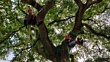 Wildlife Support Systems