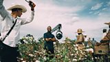 Barry Jenkins