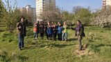 Community Garden