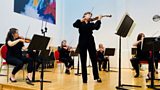 Sinfonia Viva