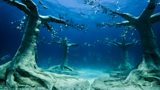 Underwater Museum