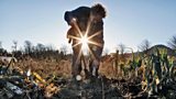 Bringing farmers together