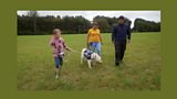 Dogs for Autism
