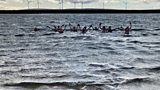 Swimming at Gaddings Dam